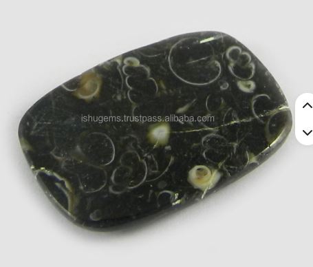 18x26mm Natural Turrtella jasper 375 gms Rectangle Cushion Beautiful Cabochon gemstone IG0224