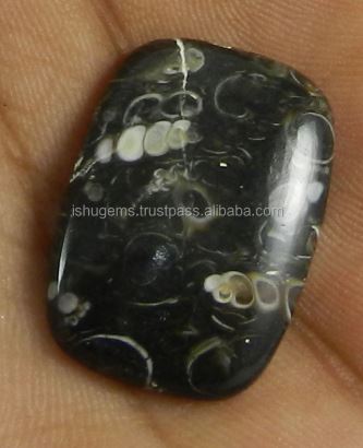 18x26mm Natural Turrtella jasper 375 gms Rectangle Cushion Beautiful Cabochon gemstone IG0224