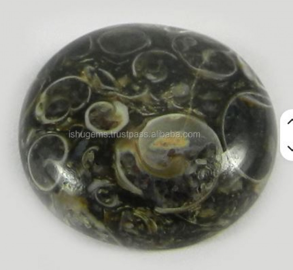 Image of Natural Turrtella Jasper Round Cabochon 18mm Green and Blue Mineral Gemstone for Jewelry-Beautiful Crystal