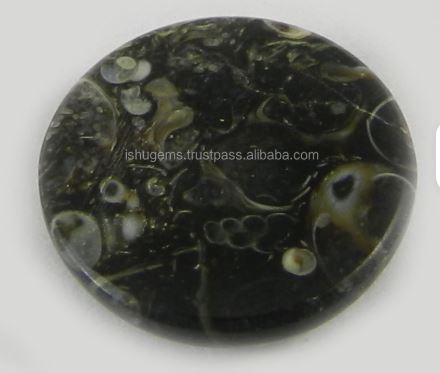 Natural Turrtella Jasper Round Cabochon 18mm Green and Blue Mineral Gemstone for Jewelry-Beautiful Crystal