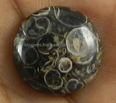 Natural Turrtella Jasper Round Cabochon 18mm Green and Blue Mineral Gemstone for Jewelry-Beautiful Crystal