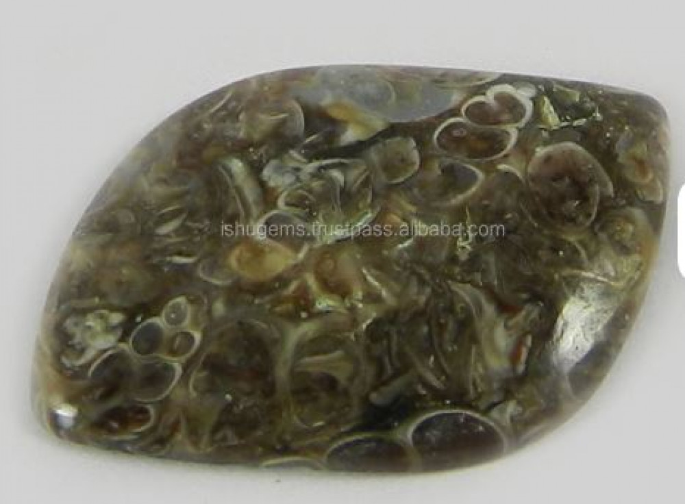 Image of Natural Turrtella Jasper 1.95 gms Fancy Shape Cushion Cabochon gemstone