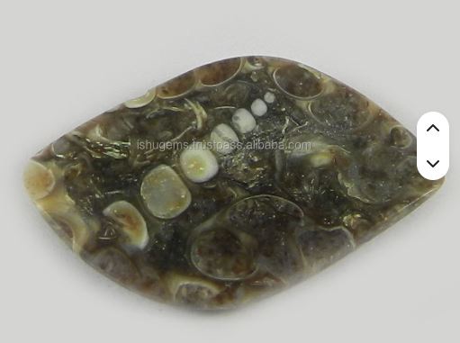 Natural Turrtella Jasper 195 gms Fancy Shape Cushion Cabochon gemstone