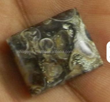 Natural Turrtella jasper 280 gms Beautiful Rectangle Cabochon wholesale gemstone For Jewelry Making