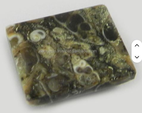 Natural Turrtella jasper 280 gms Beautiful Rectangle Cabochon wholesale gemstone For Jewelry Making