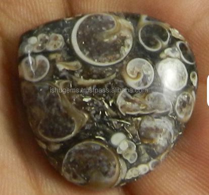 Distinctive 25mm Natural Turrtella Jasper 630 Grams Heart Cut Cabochon Gemstone Model IG0228