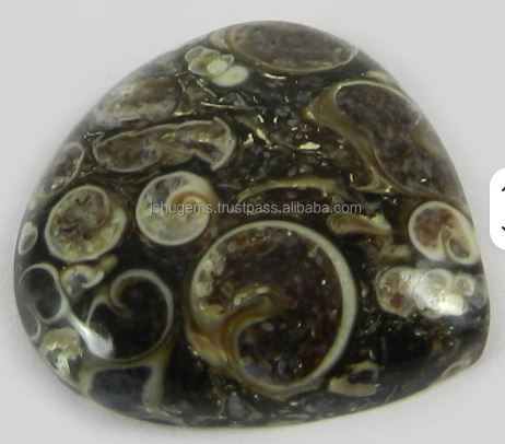 Distinctive 25mm Natural Turrtella Jasper 630 Grams Heart Cut Cabochon Gemstone Model IG0228