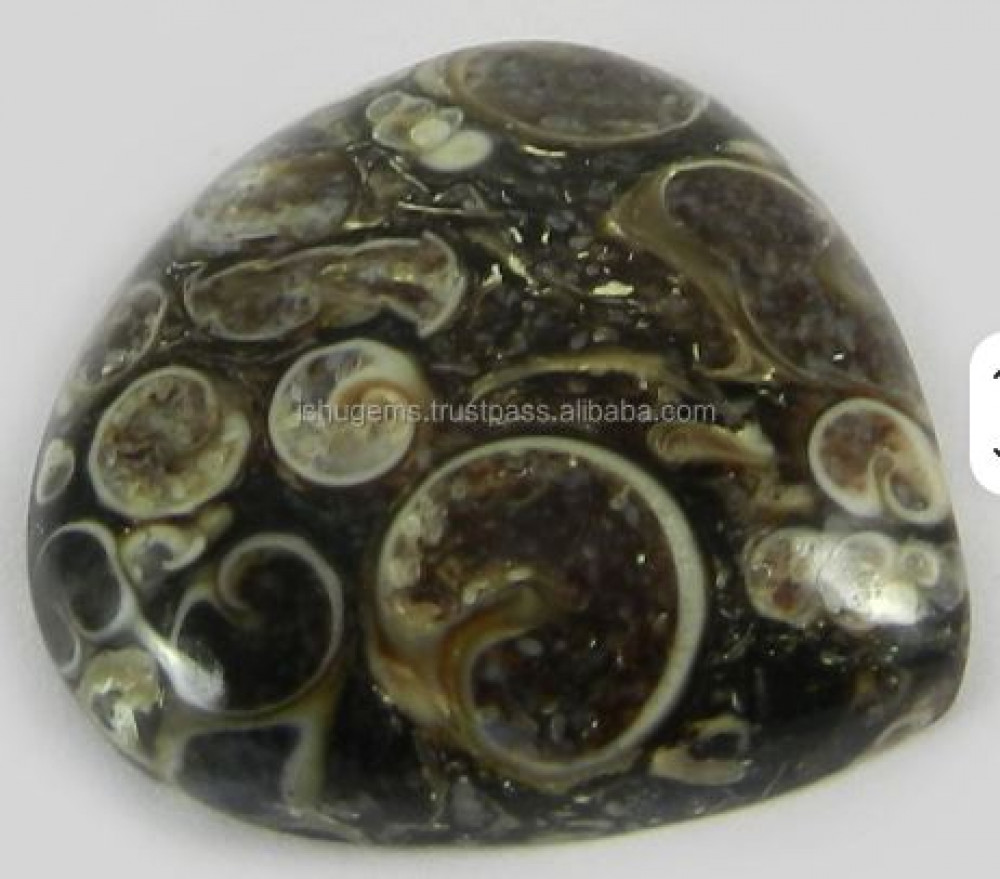 Image of Distinctive 25mm Natural Turrtella Jasper 6.30 Grams Heart Cut Cabochon Gemstone Model IG0228