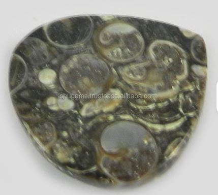 Distinctive 25mm Natural Turrtella Jasper 630 Grams Heart Cut Cabochon Gemstone Model IG0228