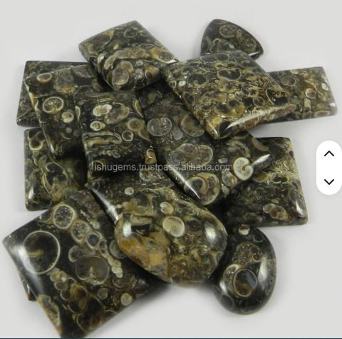 20 Pcs Natural Turrtella Jasper 100 gms Free form Mix Shape Cabochon Loose Gemstone