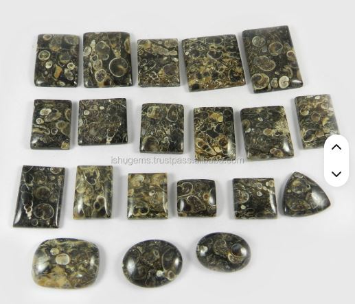 20 Pcs Natural Turrtella Jasper 100 gms Free form Mix Shape Cabochon Loose Gemstone