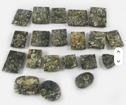 20 Pcs Natural Turrtella Jasper 100 gms Free form Mix Shape Cabochon Loose Gemstone