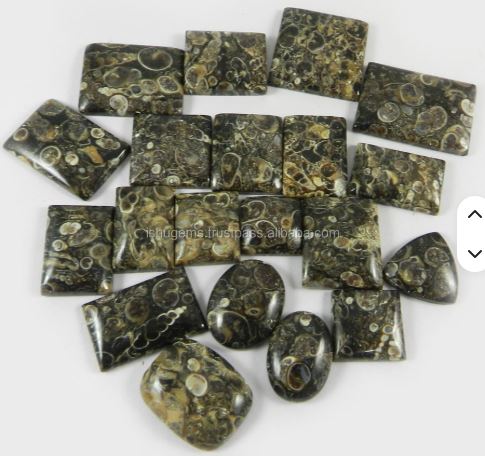 20 Pcs Natural Turrtella Jasper 100 gms Free form Mix Shape Cabochon Loose Gemstone
