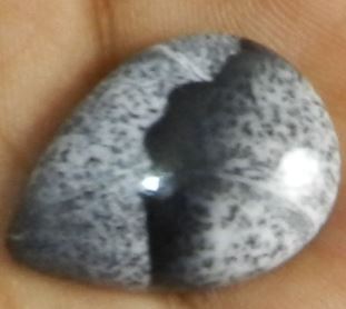 Natural Dendritic Opal 17x23mm Pear Cabochon 315 gms Loose Stones For Jewelry Making