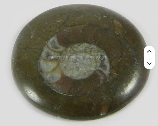Ishu Gems 28mm Natural Brown Ammonite 520 Gms Round Beautiful Cabochon Gemstone