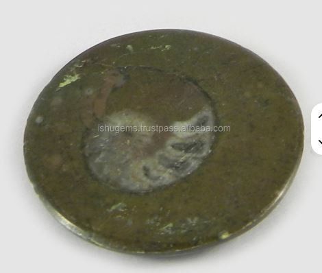 Ishu Gems 28mm Natural Brown Ammonite 520 Gms Round Beautiful Cabochon Gemstone