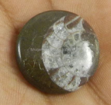 22mm Natural Brown ammonite 445 gms Round Beautiful Cabochon Loose Handmade Gemstone for Making Jewelry