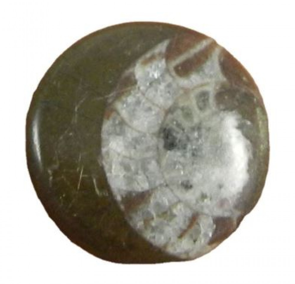 Image of 22mm Natural Brown ammonite 4.45 gms Round Beautiful Cabochon Loose Handmade Gemstone for Making Jewelry