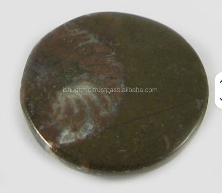 22mm Natural Brown ammonite 445 gms Round Beautiful Cabochon Loose Handmade Gemstone for Making Jewelry