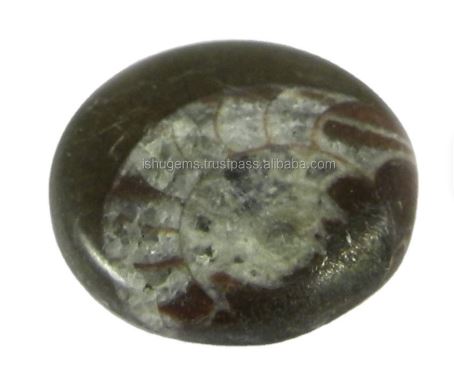 22mm Natural Brown ammonite 445 gms Round Beautiful Cabochon Loose Handmade Gemstone for Making Jewelry