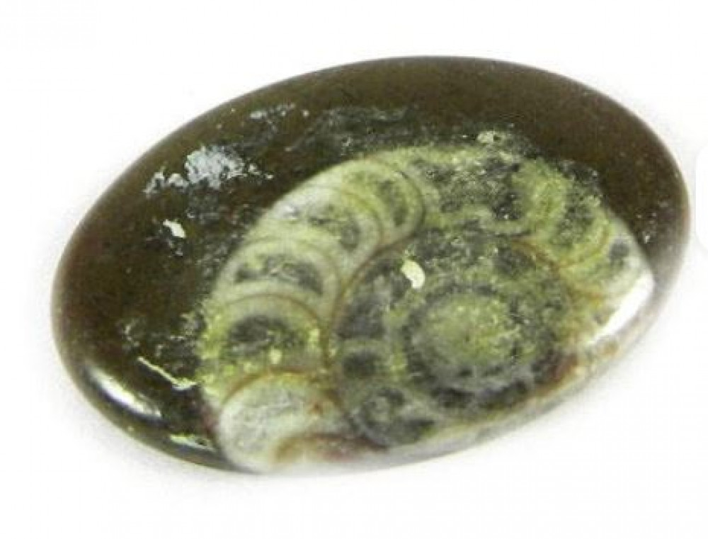 Image of Natural Brown Ammonite 25x18mm Oval Cabochon Fine Quality Mineral Gemstone for Jewelry Making Red Green Orange Diamond Material