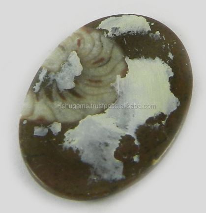 Natural Brown Ammonite 25x18mm Oval Cabochon Fine Quality Mineral Gemstone for Jewelry Making Red Green Orange Diamond Material