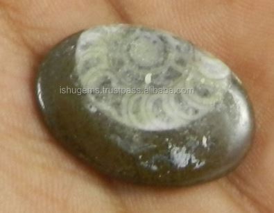 Natural Brown Ammonite 25x18mm Oval Cabochon Fine Quality Mineral Gemstone for Jewelry Making Red Green Orange Diamond Material