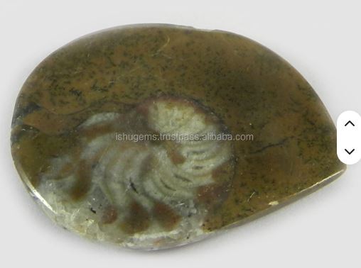 29x35mm Natural Brown ammonite 770 gms Fancy Beautiful Cabochon Handmade Gemstone
