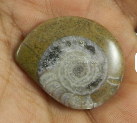 29x35mm Natural Brown ammonite 770 gms Fancy Beautiful Cabochon Handmade Gemstone