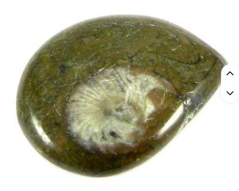 21x27mm Natural Brown ammonite 401 gms Fancy Beautiful Cabochon loose gemstone IG0263
