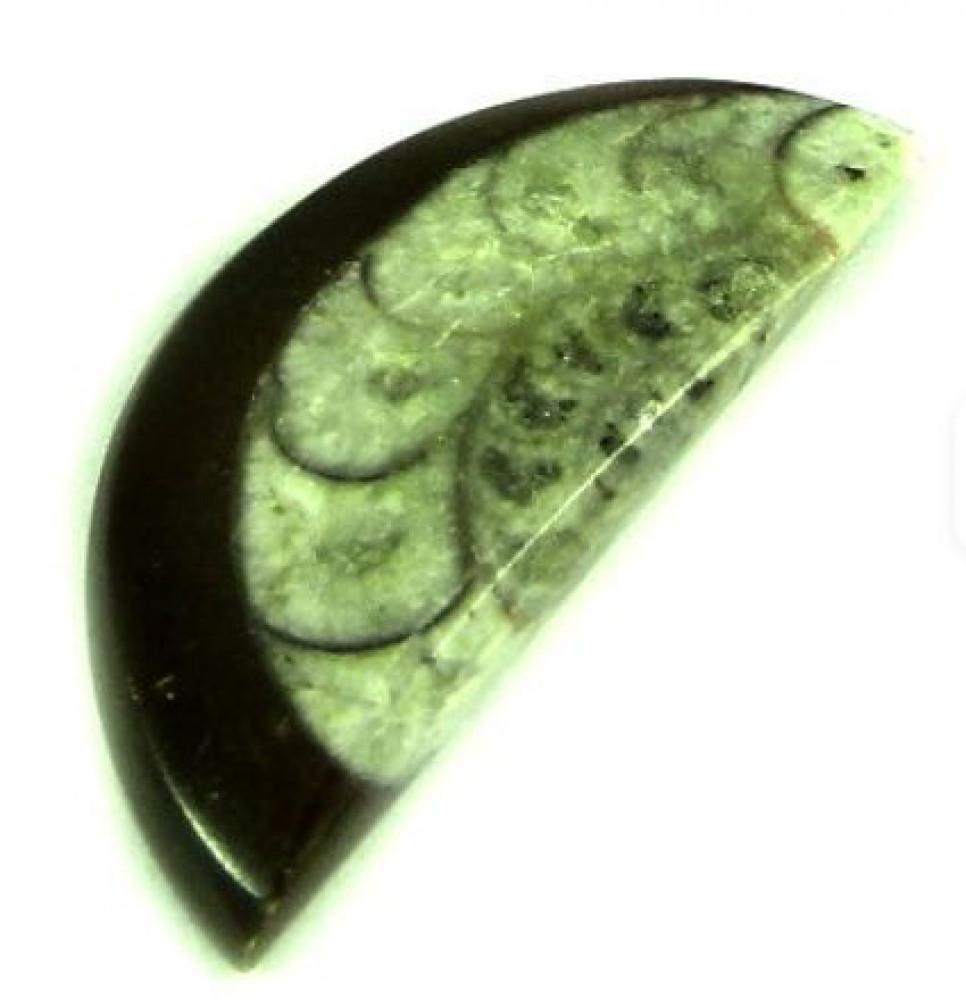 Image of 14*31mm Natural Brown ammonite 4.10 gms Half moon cab Beautiful Cabochon gemstone IG0264
