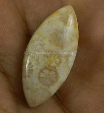 Natural Fossil Coral 28x12mm Marquise Cabochon 243 Gms Loose Gemstone For Jewelry Making