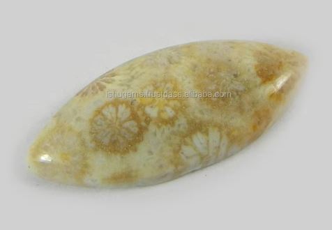 Natural Fossil Coral 28x12mm Marquise Cabochon 243 Gms Loose Gemstone For Jewelry Making