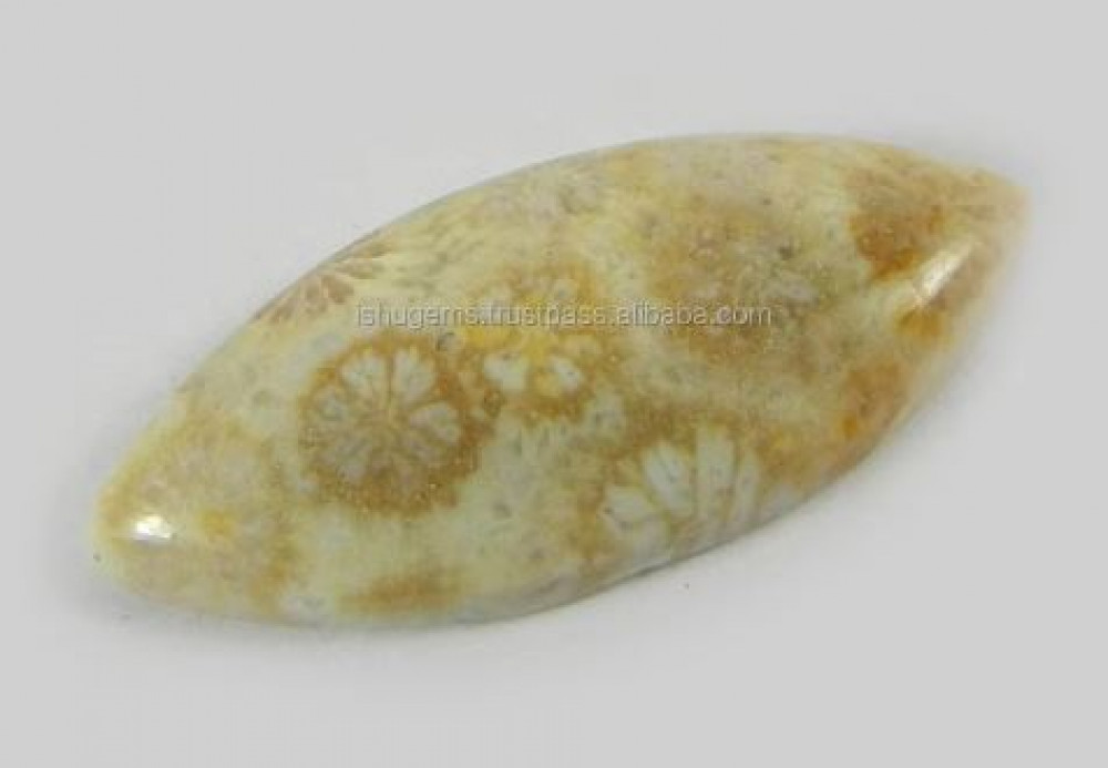 Image of Natural Fossil Coral 28x12mm Marquise Cabochon 2.43 Gms Loose Gemstone For Jewelry Making