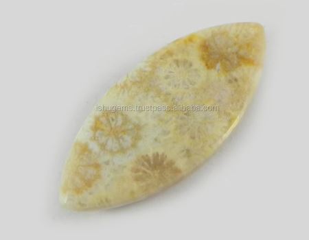 Natural Fossil Coral 28x12mm Marquise Cabochon 243 Gms Loose Gemstone For Jewelry Making