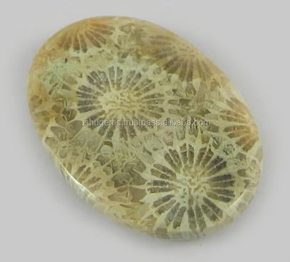 Natural Fossil Coral 28x20mm Oval Cabochon 562 Gms Loose Gemstone for Jewelry Making