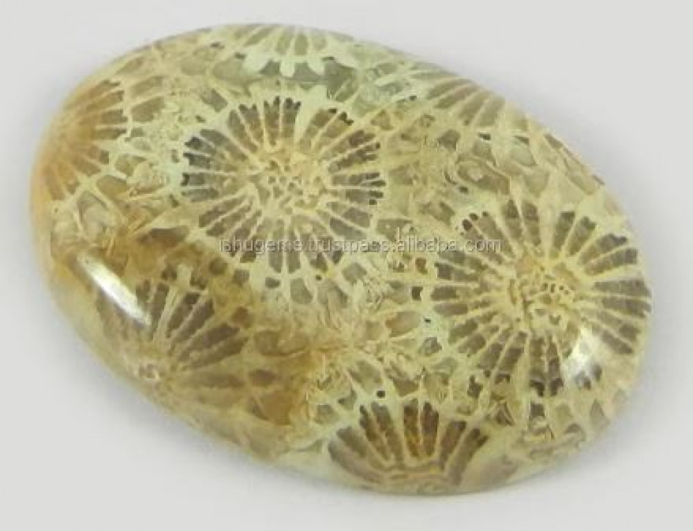 Image of Natural Fossil Coral 28x20mm Oval Cabochon 5.62 Gms Loose Gemstone for Jewelry Making