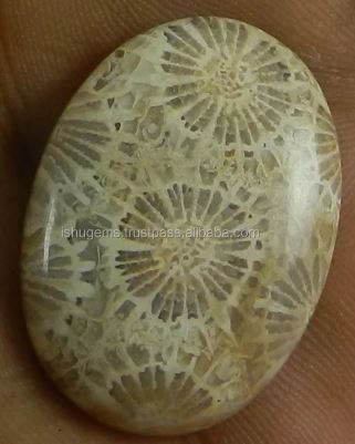 Natural Fossil Coral 28x20mm Oval Cabochon 562 Gms Loose Gemstone for Jewelry Making
