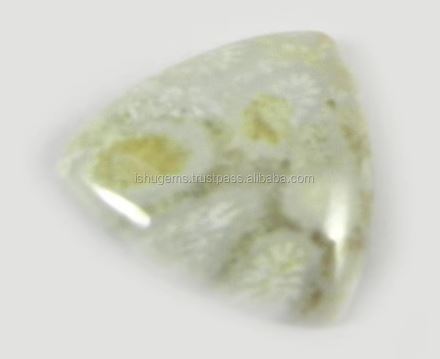 Natural Fossil Coral 18mm Triangle Cabochon 232 Gms Loose Gemstone For Jewelry Making