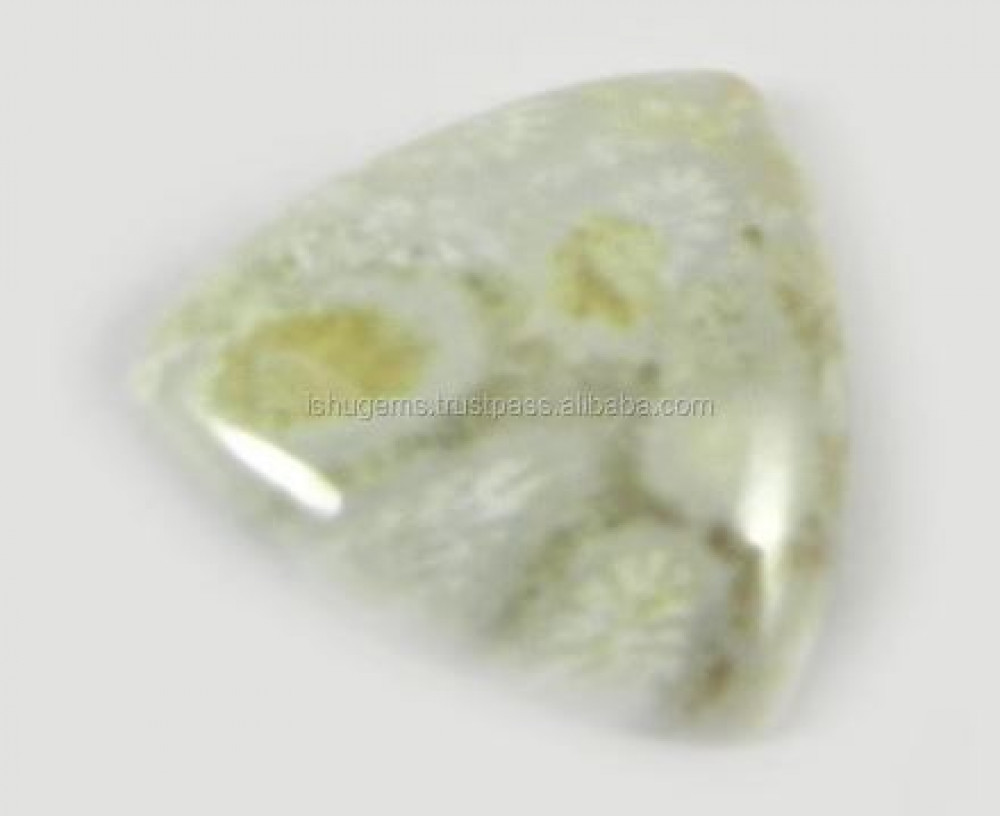 Image of Natural Fossil Coral 18mm Triangle Cabochon 2.32 Gms Loose Gemstone For Jewelry Making