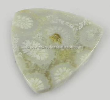 Natural Fossil Coral 18mm Triangle Cabochon 232 Gms Loose Gemstone For Jewelry Making
