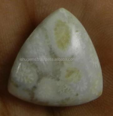 Natural Fossil Coral 18mm Triangle Cabochon 232 Gms Loose Gemstone For Jewelry Making