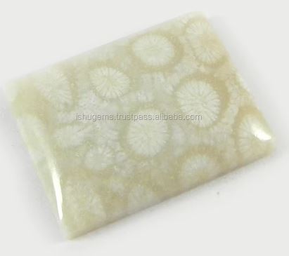 Natural Fossil Coral 24x18mm Rectangle Cabochon 519 Gms Loose Gemstone For Jewelry Making