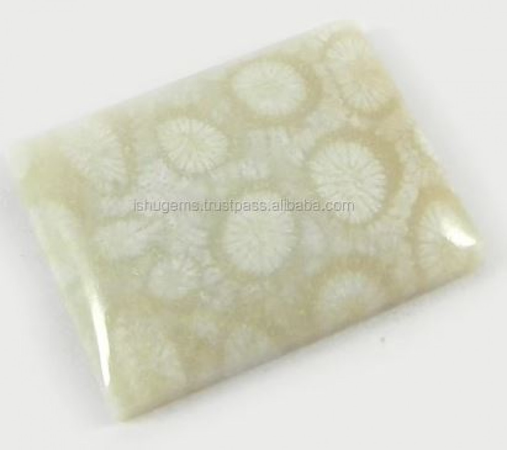 Image of Natural Fossil Coral 24x18mm Rectangle Cabochon 5.19 Gms Loose Gemstone For Jewelry Making