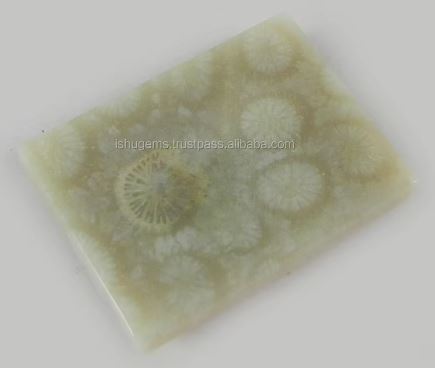 Natural Fossil Coral 24x18mm Rectangle Cabochon 519 Gms Loose Gemstone For Jewelry Making