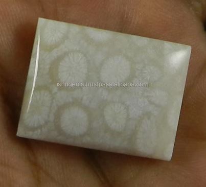 Natural Fossil Coral 24x18mm Rectangle Cabochon 519 Gms Loose Gemstone For Jewelry Making