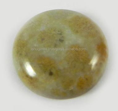 Indian Wholesaler Natural Fossil Coral 17mm 257 Gms Round Cabochon Loose Gemstone For Jewelry Making