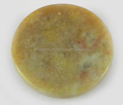 Indian Wholesaler Natural Fossil Coral 17mm 257 Gms Round Cabochon Loose Gemstone For Jewelry Making