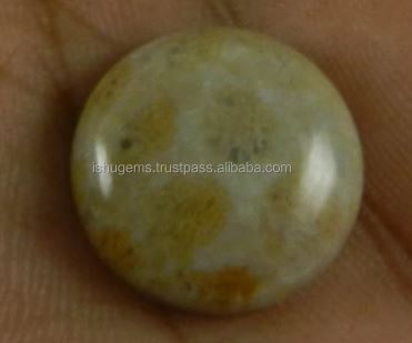 Indian Wholesaler Natural Fossil Coral 17mm 257 Gms Round Cabochon Loose Gemstone For Jewelry Making