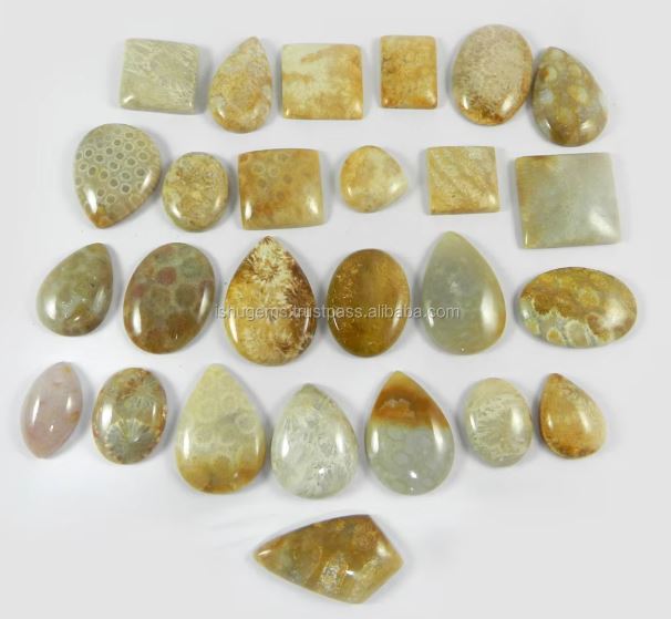 Natural Fossil Coral 26 Pcs 100 Gms Freeform Cabochon Wholesale Lot Loose Gemstone for Jewelry Making